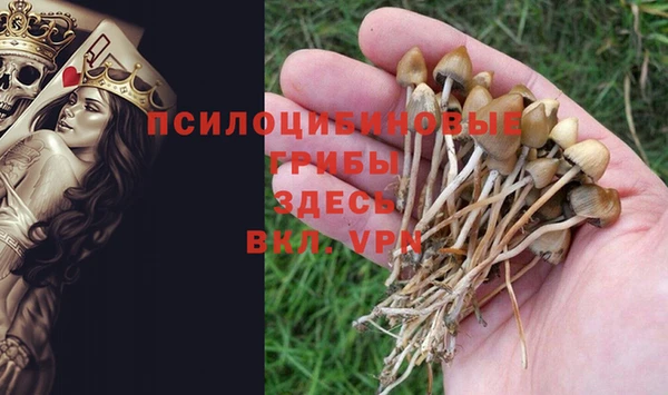 стафф Абаза